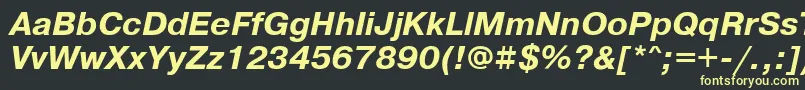 PragmaticawincttBolditalic Font – Yellow Fonts on Black Background