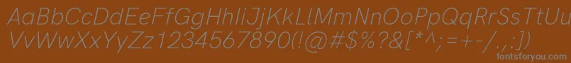 フォントHkgroteskLightlegacyitalic – 茶色の背景に灰色の文字