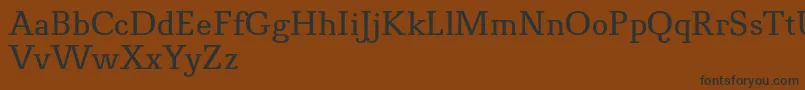NovelloProNormal Font – Black Fonts on Brown Background