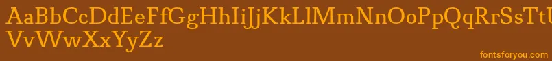 Шрифт NovelloProNormal – оранжевые шрифты на коричневом фоне
