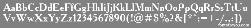 フォントUkAcademyBold – 灰色の背景に白い文字