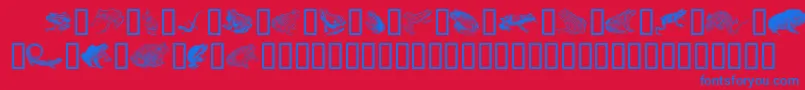 フォントAmphp – 赤い背景に青い文字