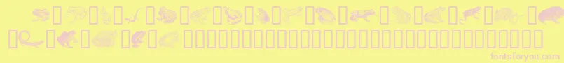 フォントAmphp – ピンクのフォント、黄色の背景