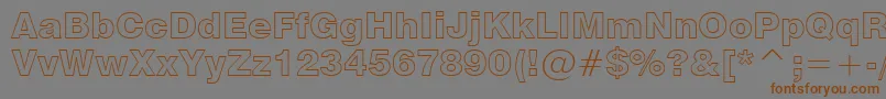 Swz721ko Font – Brown Fonts on Gray Background