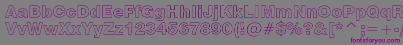 Swz721ko Font – Purple Fonts on Gray Background