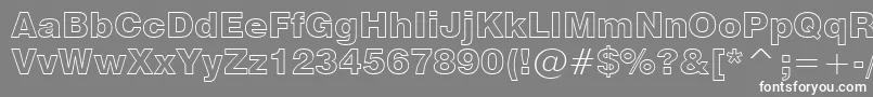 Swz721ko Font – White Fonts on Gray Background