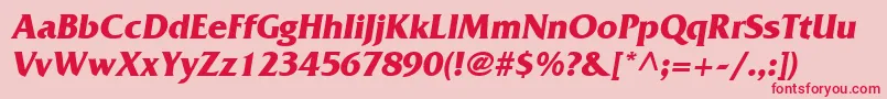 AgfriquerBoldoblique Font – Red Fonts on Pink Background