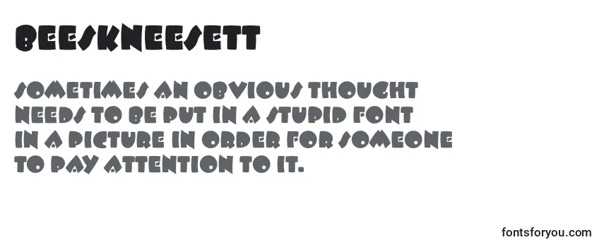 Review of the Beeskneesett Font