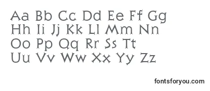 Обзор шрифта Julius