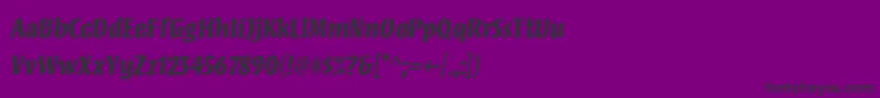 MezzstdBold Font – Black Fonts on Purple Background