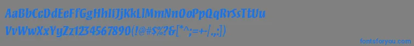 フォントMezzstdBold – 灰色の背景に青い文字