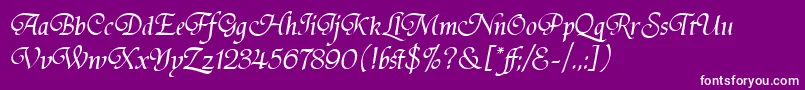 TirantiSolidLetPlain.1.0 Font – White Fonts on Purple Background