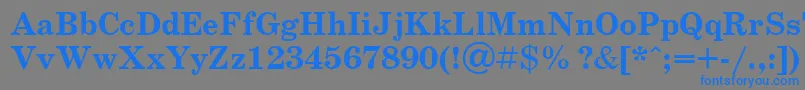 SchoolbookBoldCyrillic Font – Blue Fonts on Gray Background