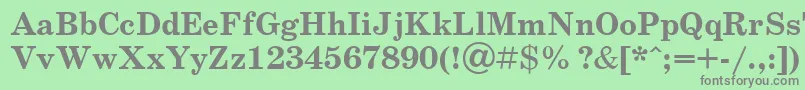 SchoolbookBoldCyrillic Font – Gray Fonts on Green Background