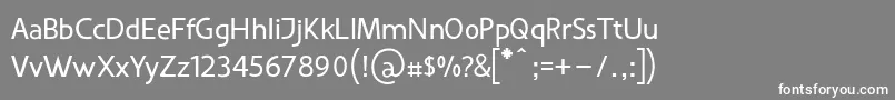 フォントVanloseBooktypeNormal – 灰色の背景に白い文字