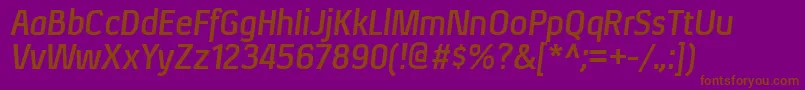 XenurgBolditalic Font – Brown Fonts on Purple Background