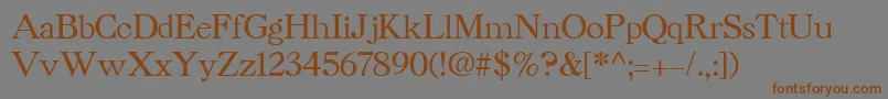 CaslonCyrillicBold Font – Brown Fonts on Gray Background