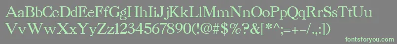 CaslonCyrillicBold Font – Green Fonts on Gray Background