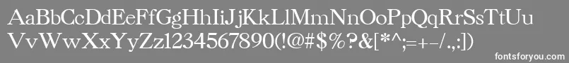 CaslonCyrillicBold Font – White Fonts on Gray Background