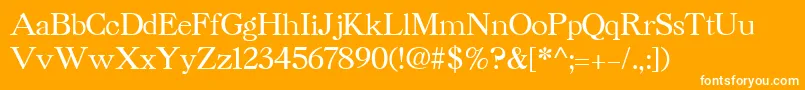 CaslonCyrillicBold Font – White Fonts on Orange Background