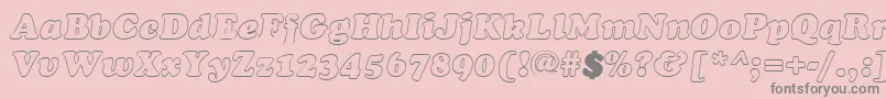 CookiehollowItalic Font – Gray Fonts on Pink Background