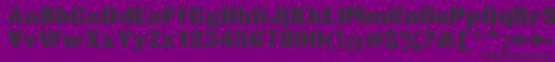 フォントStencilsansextraboldRegular – 紫の背景に黒い文字