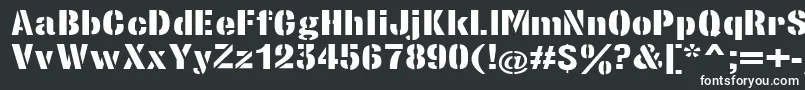 フォントStencilsansextraboldRegular – 黒い背景に白い文字