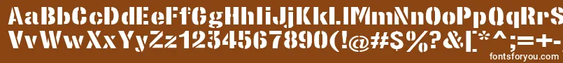 StencilsansextraboldRegular Font – White Fonts on Brown Background