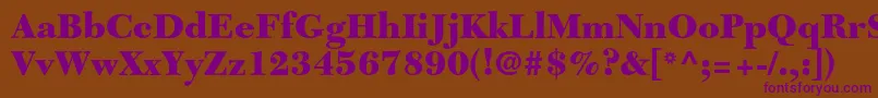 NewcaledonialtstdBlack Font – Purple Fonts on Brown Background