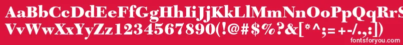 Czcionka NewcaledonialtstdBlack – białe czcionki na czerwonym tle