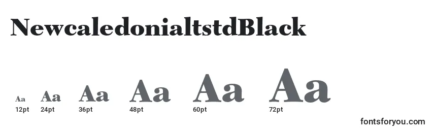 NewcaledonialtstdBlack Font Sizes
