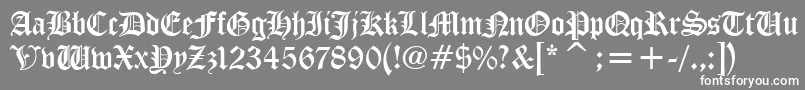 フォントDiplomaRegular – 灰色の背景に白い文字