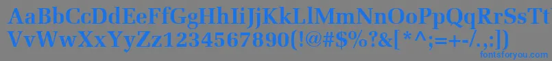 フォントMeliorLtBold – 灰色の背景に青い文字