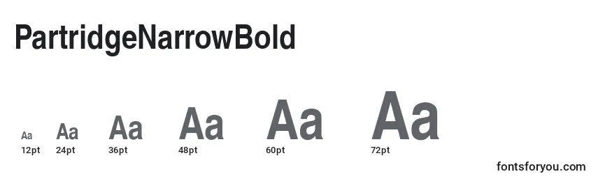 PartridgeNarrowBold Font Sizes