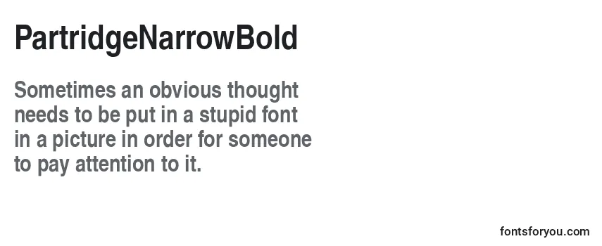 PartridgeNarrowBold Font