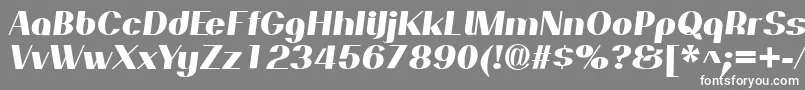 PassionsanspdapExtraboldit Font – White Fonts on Gray Background
