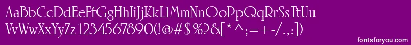 LinotypeRowenaRegular Font – White Fonts on Purple Background