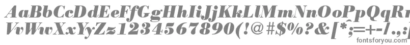 Czcionka ModernbodoniheavyRegularitalic – szare czcionki