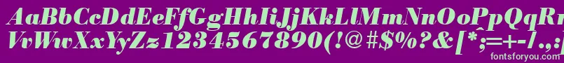 ModernbodoniheavyRegularitalic Font – Green Fonts on Purple Background