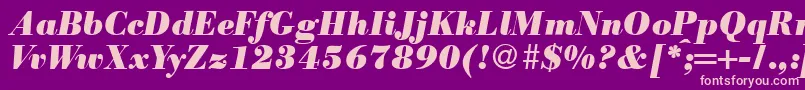 ModernbodoniheavyRegularitalic-fontti – vaaleanpunaiset fontit violetilla taustalla