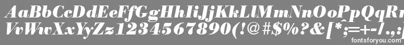 ModernbodoniheavyRegularitalic-fontti – valkoiset fontit harmaalla taustalla