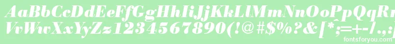 ModernbodoniheavyRegularitalic Font – White Fonts on Green Background