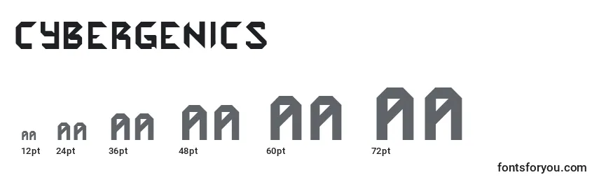 Cybergenics Font Sizes