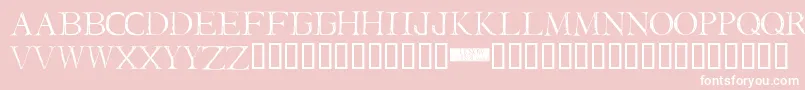 IStillKnow Font – White Fonts on Pink Background