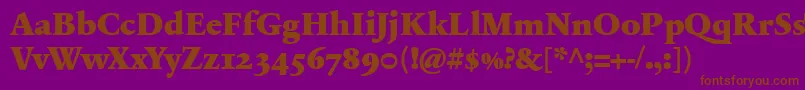 SabonnextLtBlackOldStyleFigures Font – Brown Fonts on Purple Background