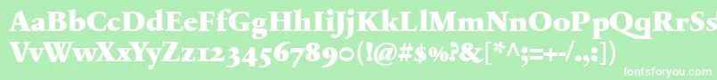 SabonnextLtBlackOldStyleFigures Font – White Fonts on Green Background