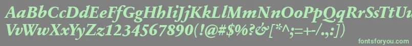 フォントSabonnextLtExtraBoldItalic – 灰色の背景に緑のフォント