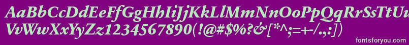 フォントSabonnextLtExtraBoldItalic – 紫の背景に緑のフォント
