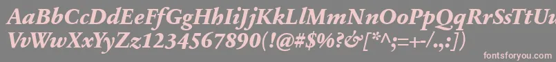 フォントSabonnextLtExtraBoldItalic – 灰色の背景にピンクのフォント