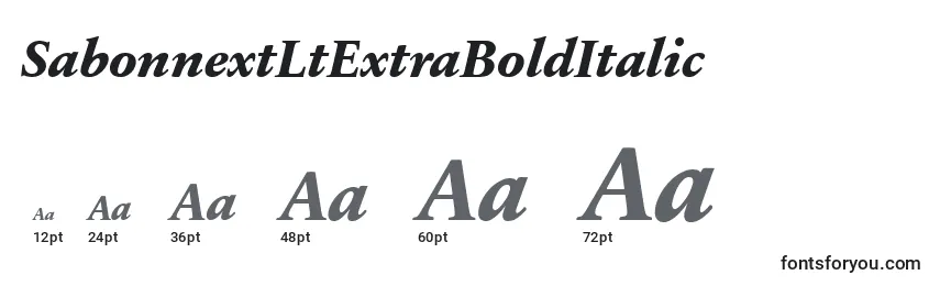 SabonnextLtExtraBoldItalic Font Sizes